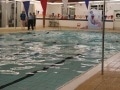 22638493468_998e20ed12_o