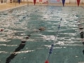 22664787049_afcdbc61c2_o