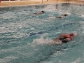 23056507725_5a3fd0f6a8_o
