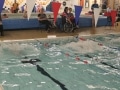23058100845_6f96c7a8ce_o