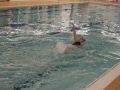 23068771721_44c1c4b934_o